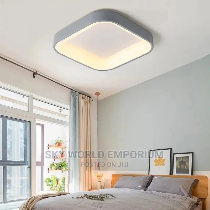 Ceiling Light