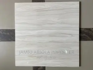 Goodwill 60*60 Floor Tiles