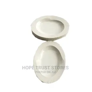 6pcs Unbreakable Flat Plate