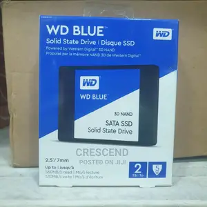 2tb Wd(Western Digital)Blue Sata SSD