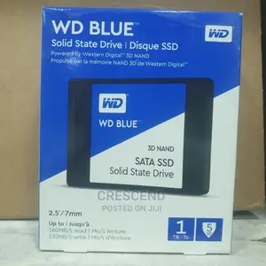 1tb Wd Blue SSD