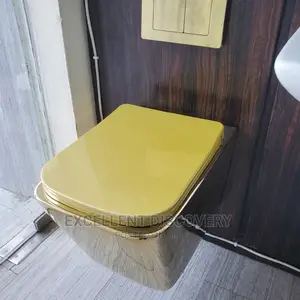Clear Gold Conceal Water Closet