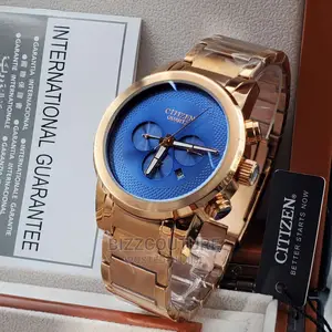 Original CITIZEN Gold Steel Watch Available in Store