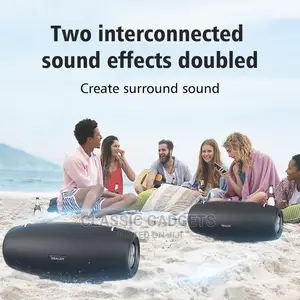 S67 Zealot Portable Speaker