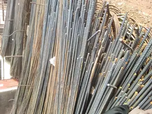 Iron Rod Tiger