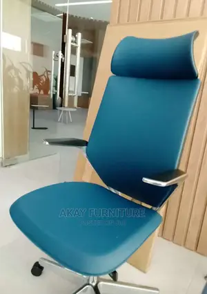Blue Ergonomic Office Chair