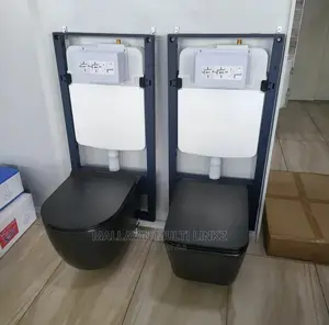 Black Concealed Toilet Wc