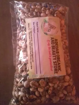 Castor Seed 50g
