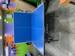 Joola Outdoor Table Tennis #1