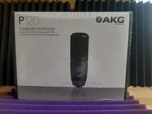 Akg P120 Condenser Mic