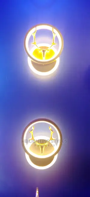 LED Wall Light