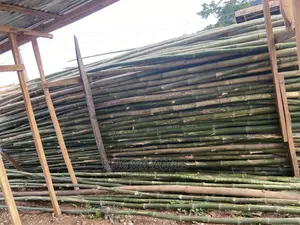 Standard Bamboos