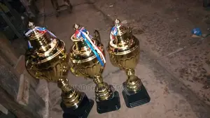 Trophies For Inter House Sports