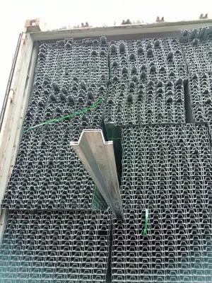 C Channel and Polines