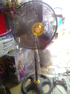 Myfan Available for Sale