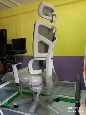 Executive Autopedic Chairs