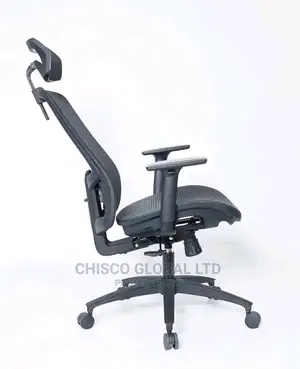 Office Chair (Ergonomic)