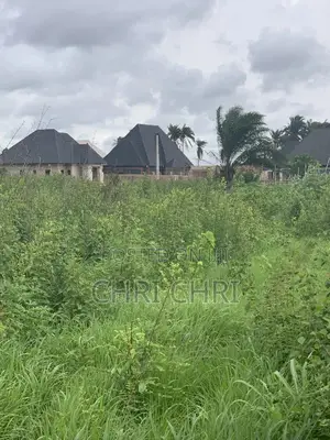 100 X 100 Ft for Sale at Uromi