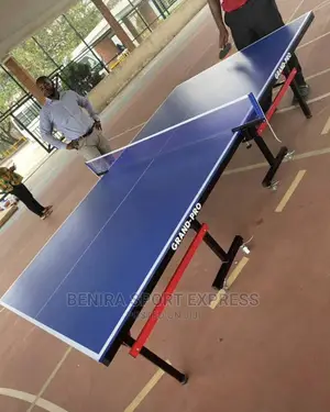 Table Tennis Board ( 01)
