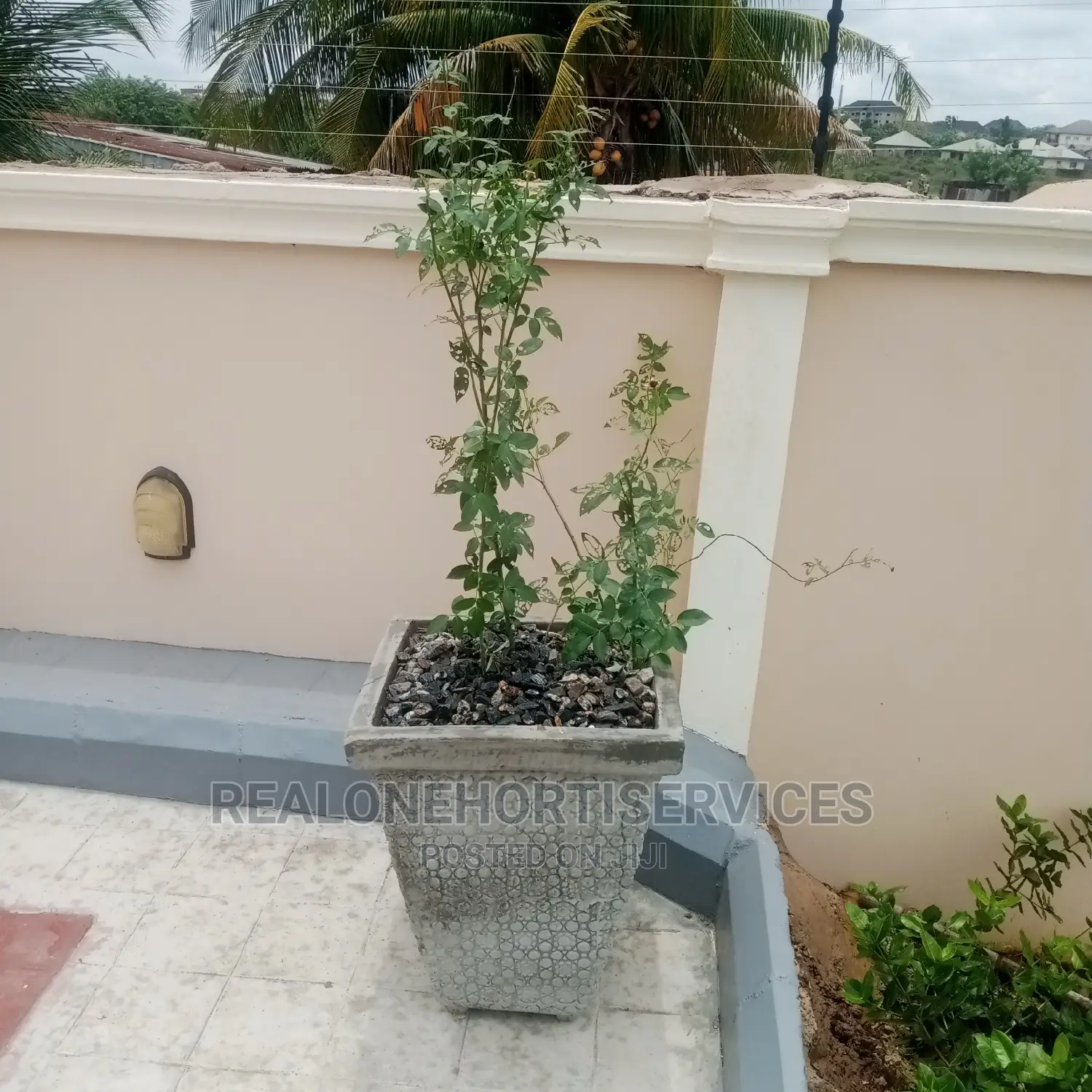 Concrete Flower Pot