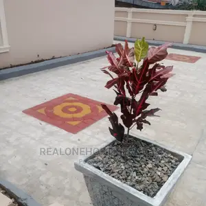 Concrete Flower Pot
