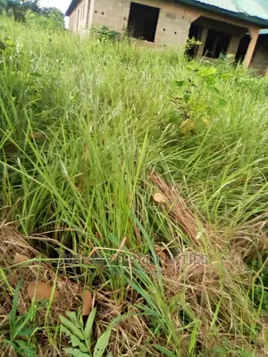 One Acre of Land for Sale at Awowo