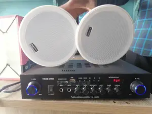 Portable Two Zone Bluetooth Amplifier With Remote Control