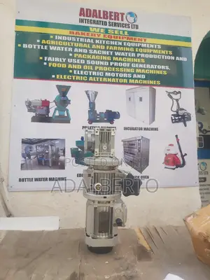 Gear Motor