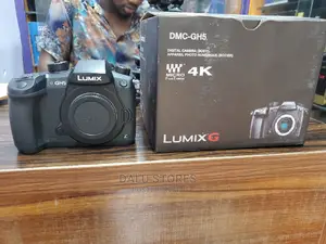 Panasonic Lumix Gh5 Mirrorless Camera