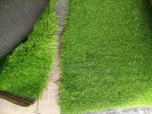 Artificial Grass