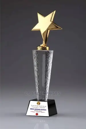 Trophy Award Plaque N8