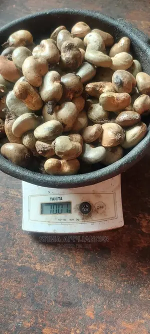 Cashew Nuts Available Per Tonne