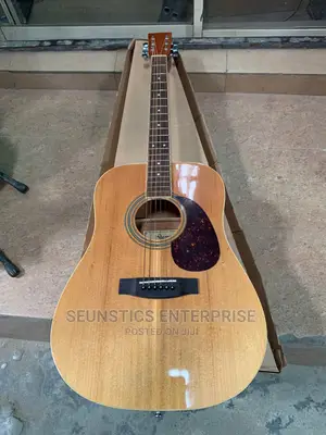 Quality Gaon Pure Acoustic Guitar