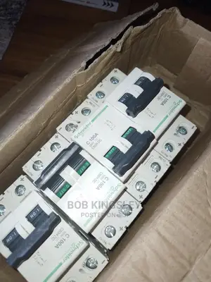 100A 2pole MCB Dc Breaker