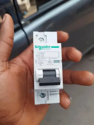 125A 1pole MCB Schneider