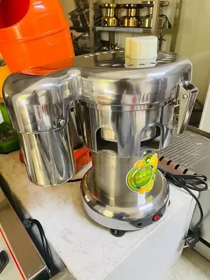 ALL FRUITS Industrial Juicer/Stainless Fresh Juice Extractor