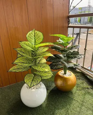 Fibre Pot Potted Flower