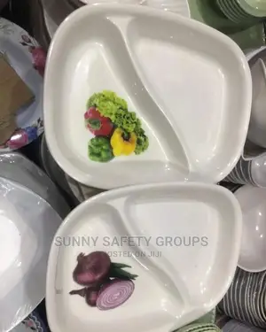 Quality Unbreakable Fancy Portion Plate,6 Pieces