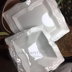 Quality Unbreakable Fancy Plate, Dishes