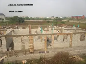 Professional Construction Carpenter