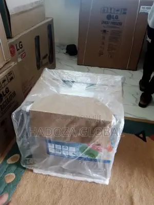 2023 LG Mini Refrigerator With Ice Maker