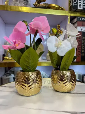 Gold Pot Orchid Flower