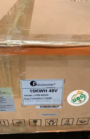 48v 15kwh Felicity Lithium Battery Cartoon One