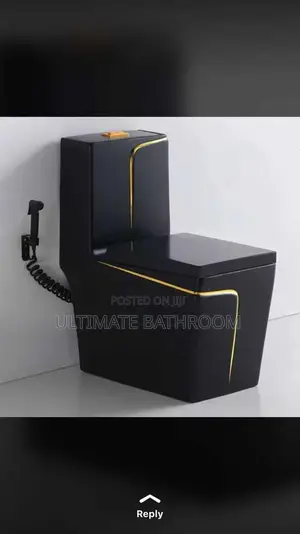 Black And Gold Married Set Watercloset With Wash Hand Basin