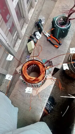Coil Rewinding And Generator Ropire