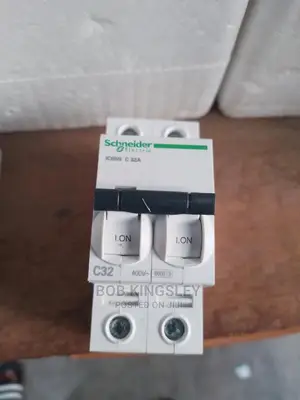 32A 2pole MCB Schneider