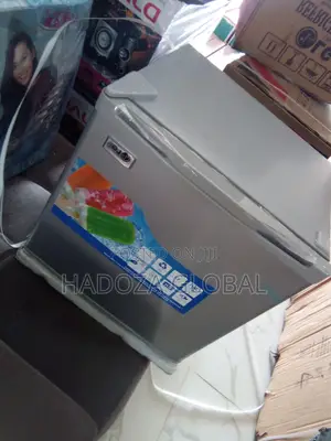 Lg 45L Compact Mini Fridge