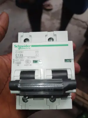 125A 2pole MCB Schneider