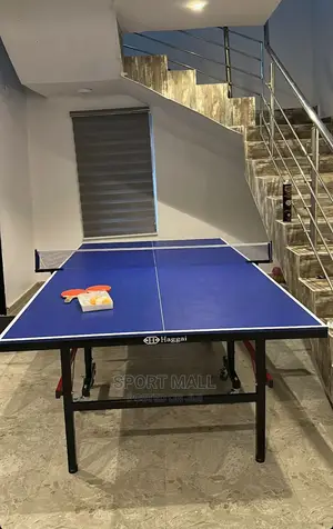 Outdoor Table Tennis Board With Accessories