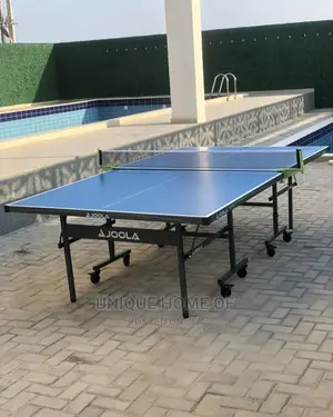 Joola Table Tennis Board With Accessories